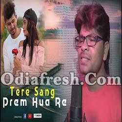 Tere Sang Prem Hua Re - Rajin Panigrahi - Sambalpuri Song